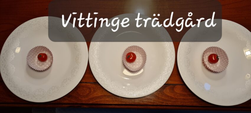 Dekorera grönsakerna fint när du ska bjuda in gäster och kunder