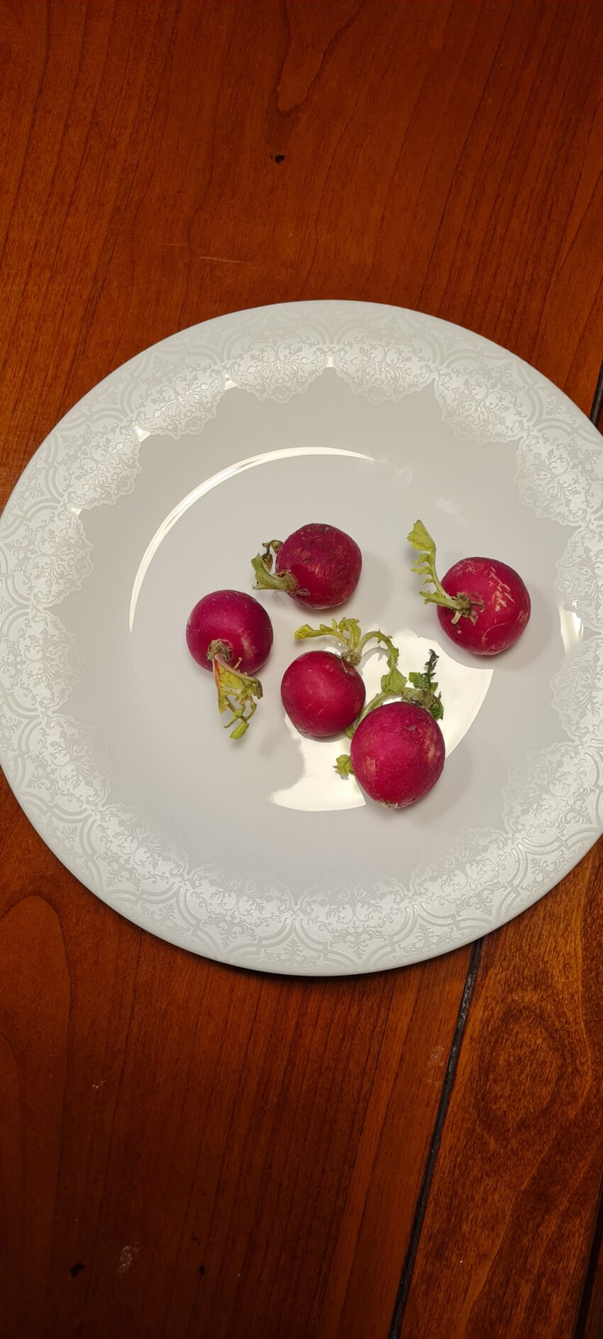Rädisa är bland de nyttigaste grönsak man kan äta!