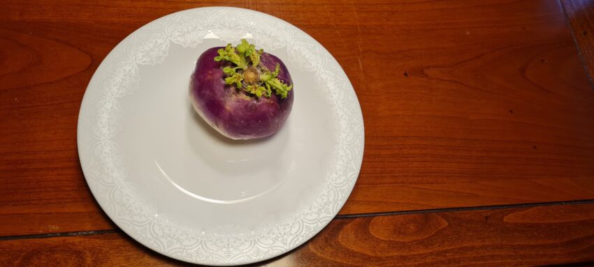 Supernyttigt med rödbetor som är närodlade!