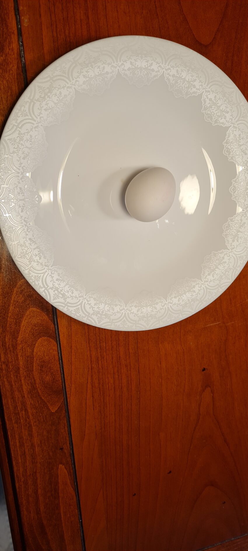 Våra hönor värper sina egna ägg!